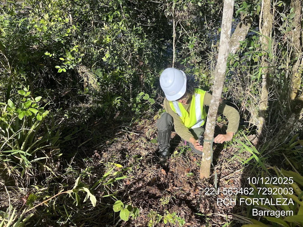 Técnico com capacete e colete fazendo o resgate de plantas na mata