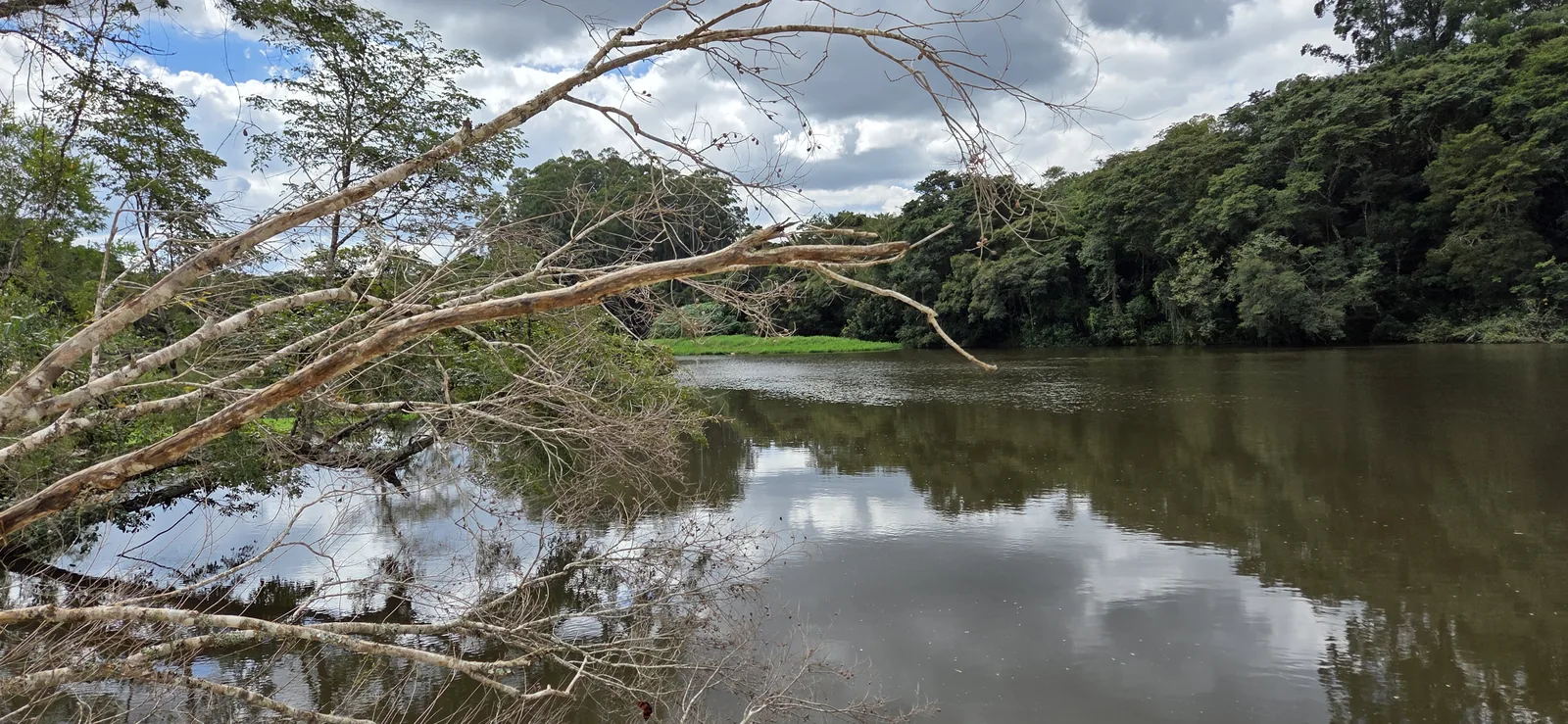 Rio no trecho do empreendimento, com mata ciliar nas duas margens
